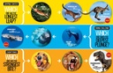  National Geographic Kids Ultimate Weird but True