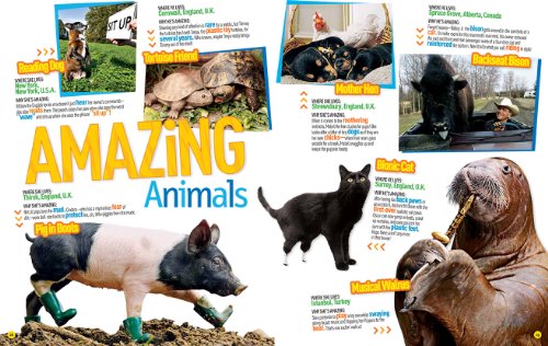  National Geographic Kids Ultimate Weird but True