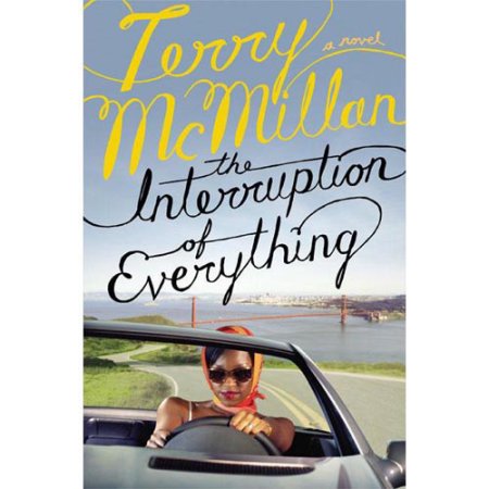 Interruption of Everything, the by Terry McMillan